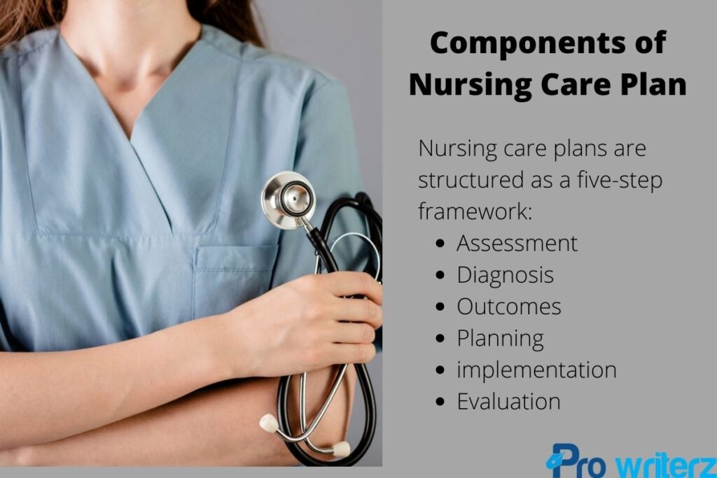 nursing care plan assignment help